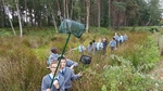 Year 6 Science - pond dipping