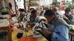 Microscopes and photosynthesis
