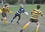 Rugby vs Woodcote under 11