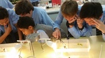 Year 8 Science - Photosynthesis - collecting oxygen