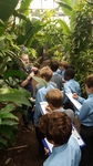 Year 6 Tropical Rain forest field study