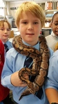 Snake club Feeding day - fun and animals