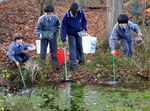 Pond dipping in a frozen pond- lots found
