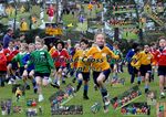 Inter House Cross Country 2011 won by Michael's House