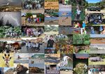 Just a few of the 3500 pics taken on our Adventure Tour of the Eastern Cape.